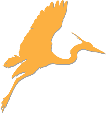 heron